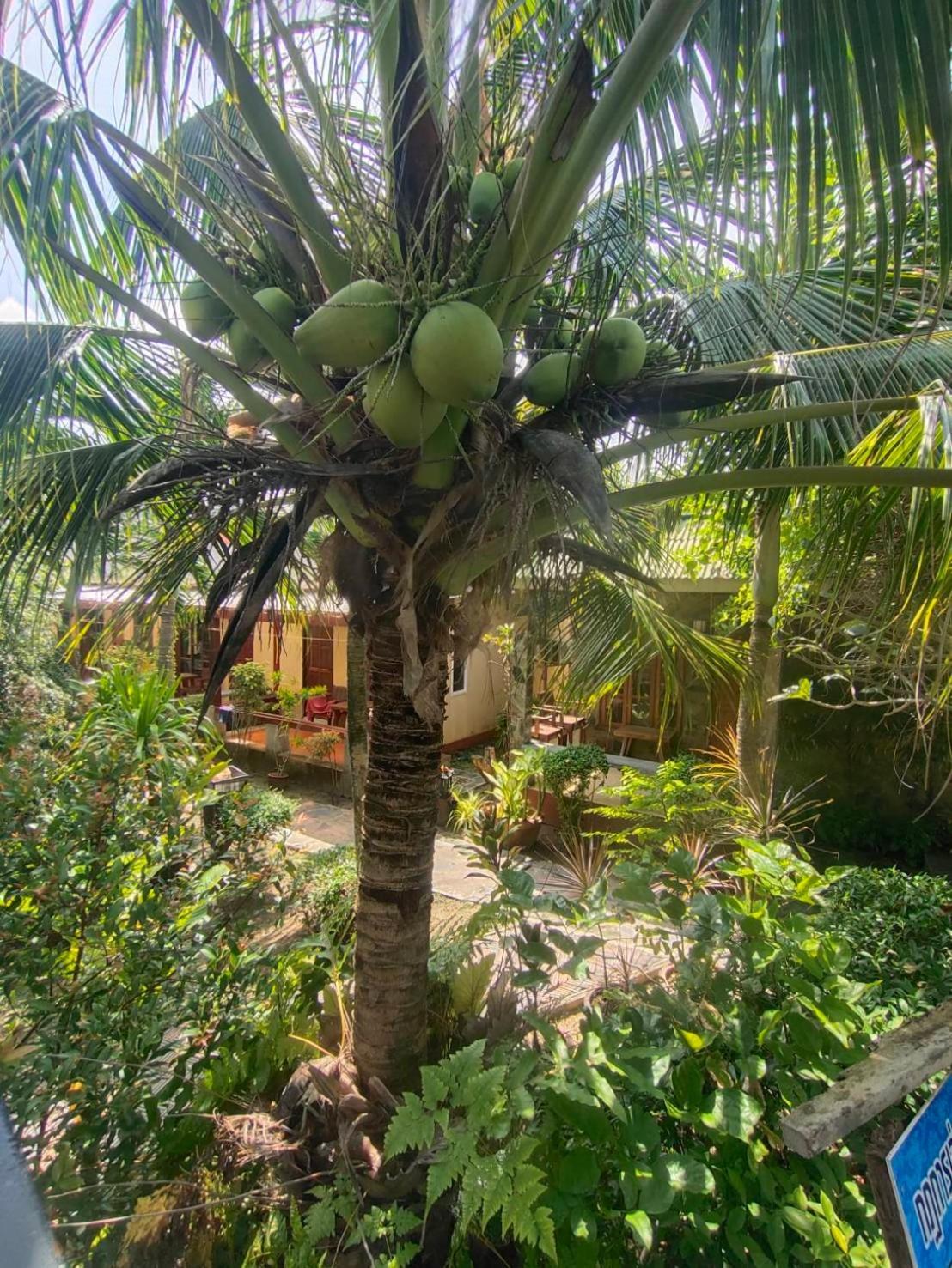Lanta Riviera Beach Resort Ko Lanta Exteriér fotografie